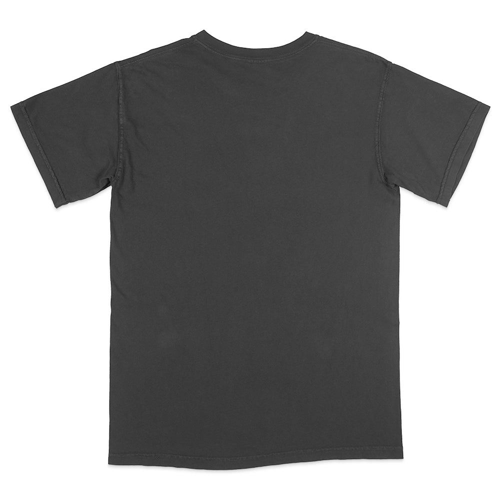 Comfort Colors 1717 Adult Heavyweight T-Shirt (2.0)