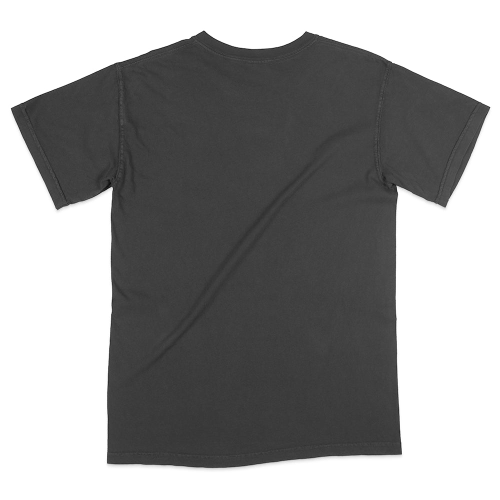 Comfort Colors 1717 Adult Heavyweight T-Shirt (2.0)