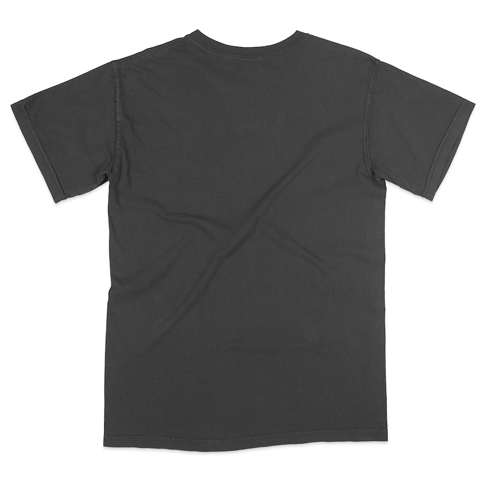 Comfort Colors 1717 Adult Heavyweight T-Shirt (2.0)