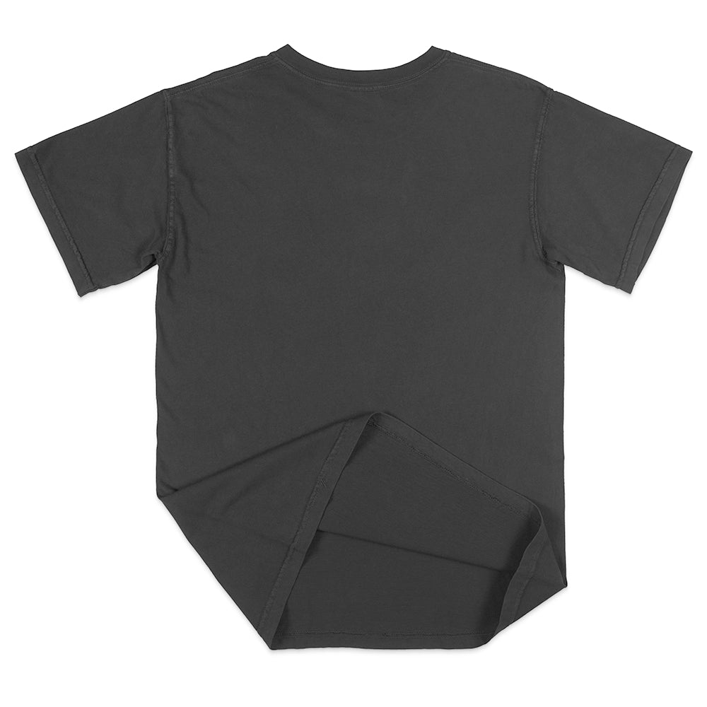 Comfort Colors 1717 Adult Heavyweight T-Shirt (2.0)