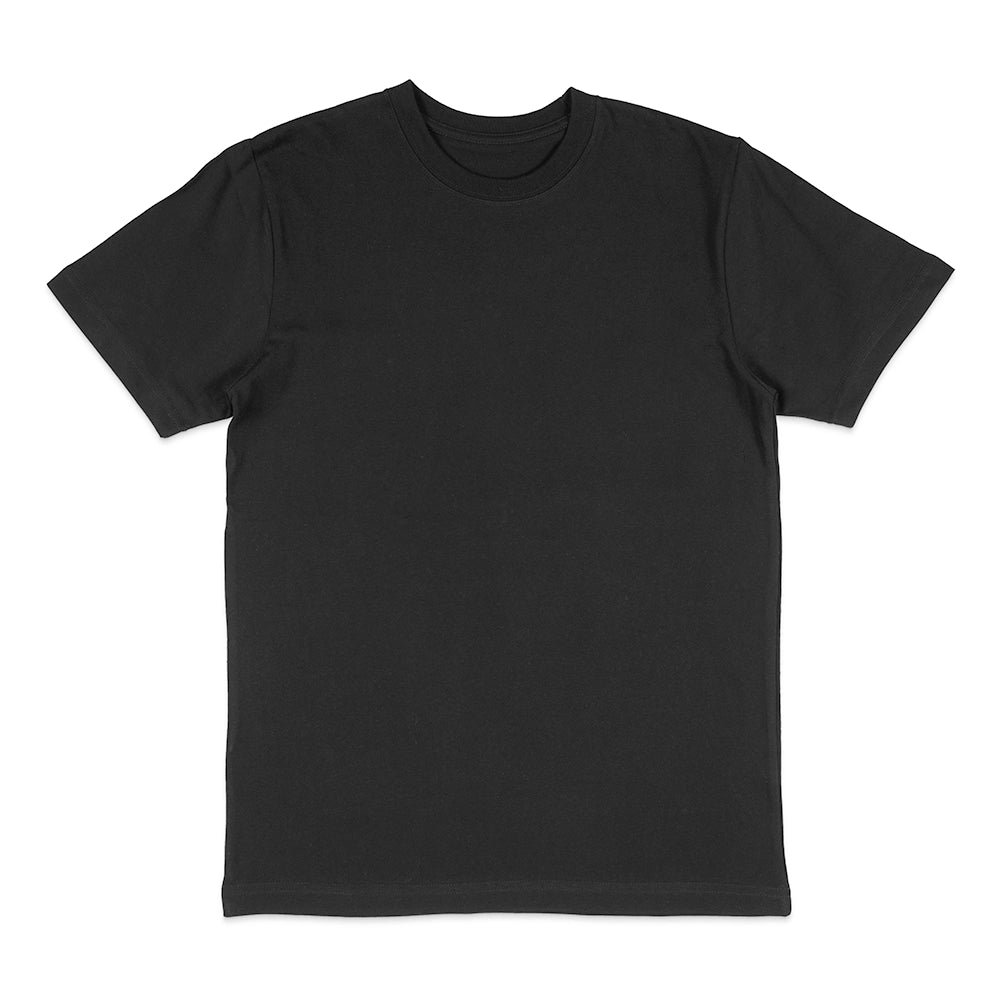 House Of Blanks 1009 Heavyweight T-Shirt