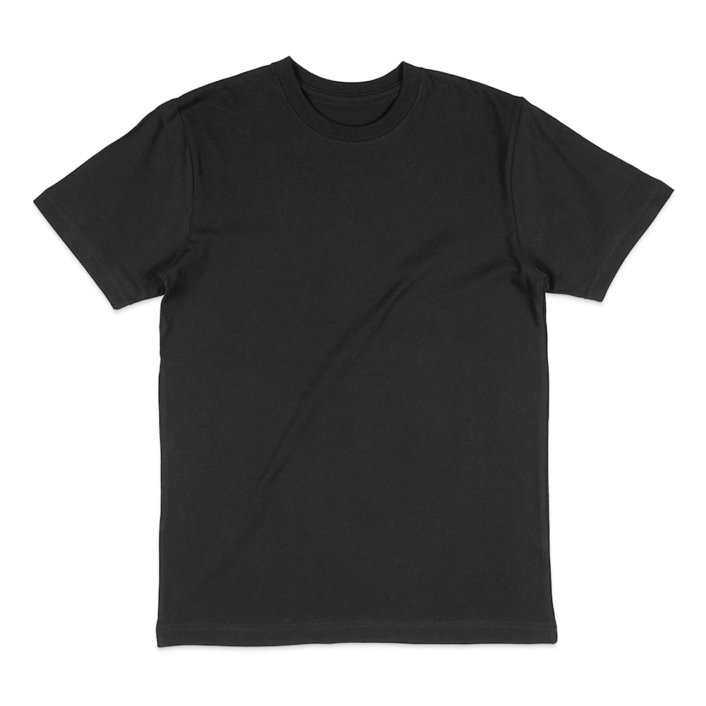 House Of Blanks 1009 Heavyweight T-Shirt