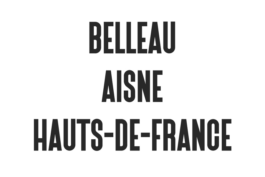 Belleau | Sans Serif Font Family